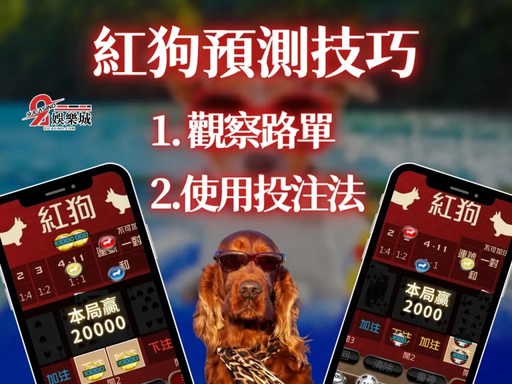 線上紅狗 紅狗撲克牌賺錢 9J娛樂城撲克牌推薦