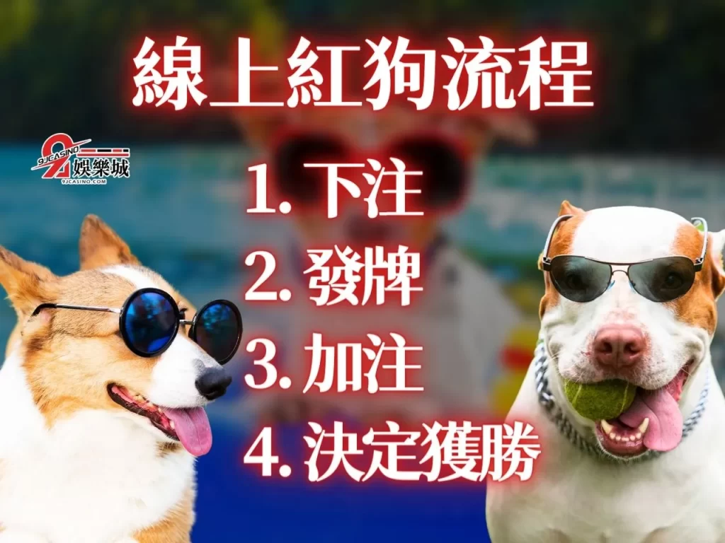 紅狗玩法教學 線上紅狗 紅狗撲克牌賺錢